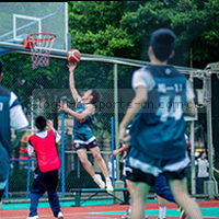 体育登录安装华人版应用图标